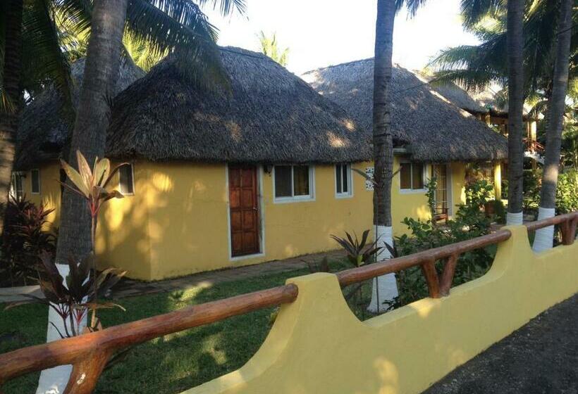 Standard Room, Cafe Del Sol