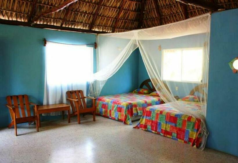 Family Room, Cafe Del Sol