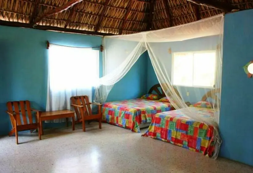 Family Room, Cafe Del Sol