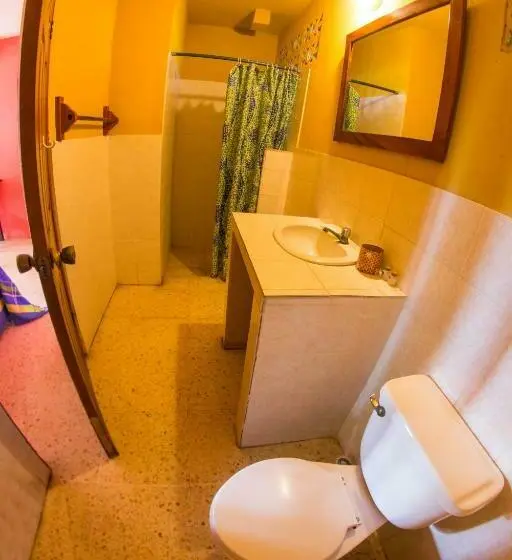Superior Room, Cafe Del Sol