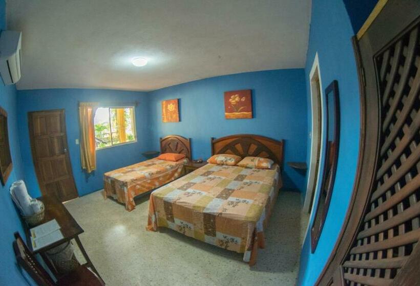 Superior Room, Cafe Del Sol