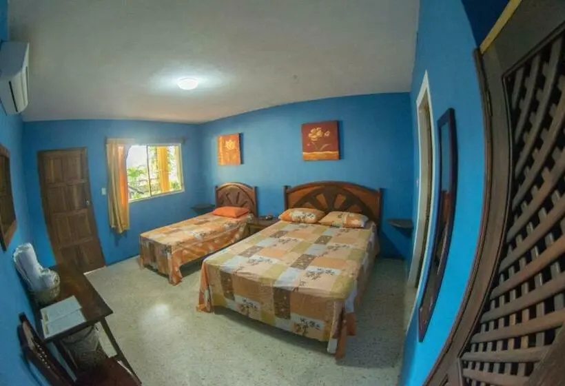 Superior Room, Cafe Del Sol