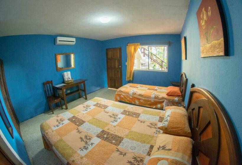 Superior Room, Cafe Del Sol