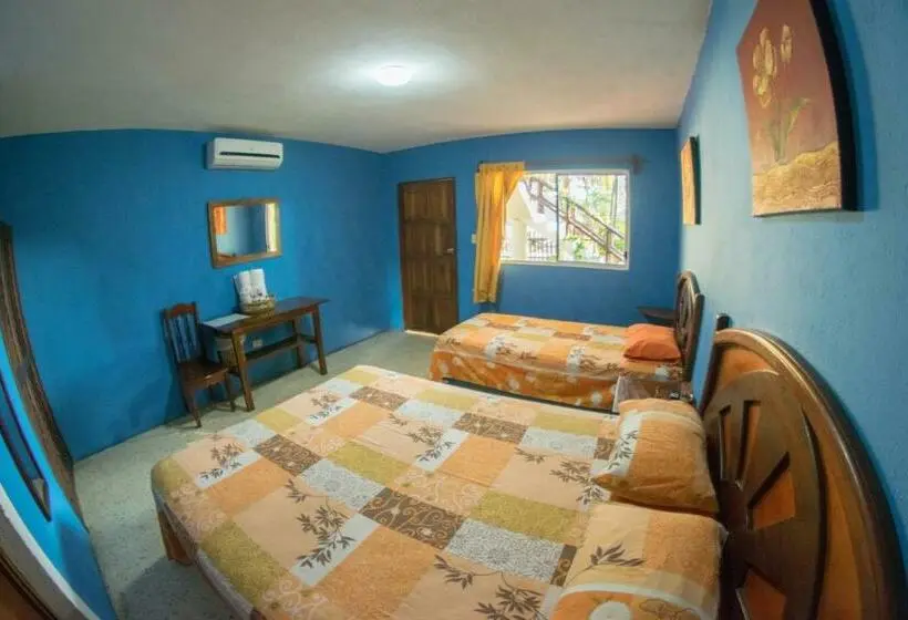 Superior Room, Cafe Del Sol