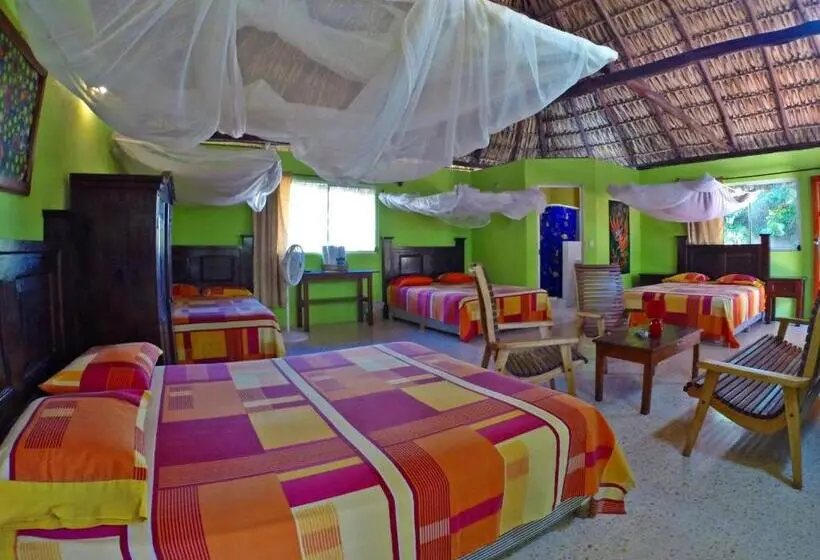 Family Room, Cafe Del Sol