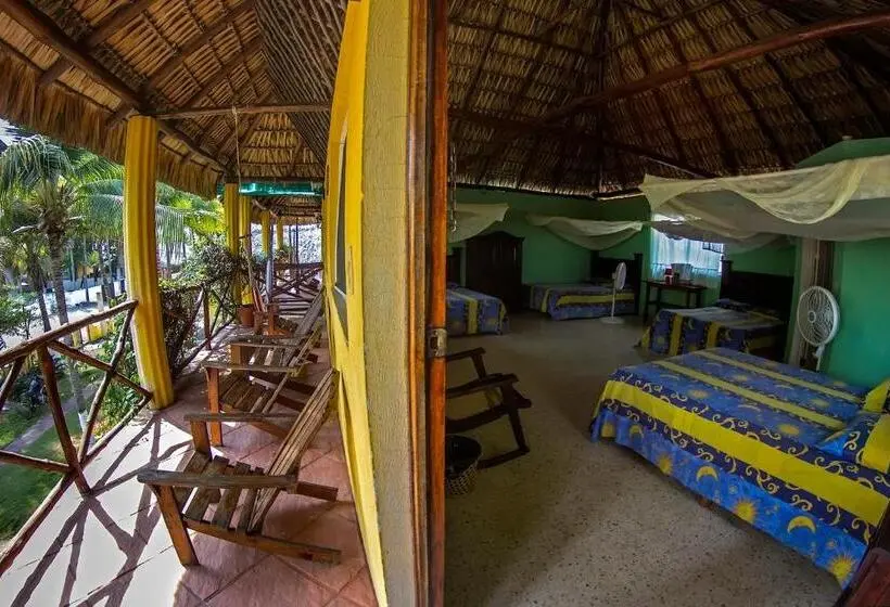 Family Room, Cafe Del Sol