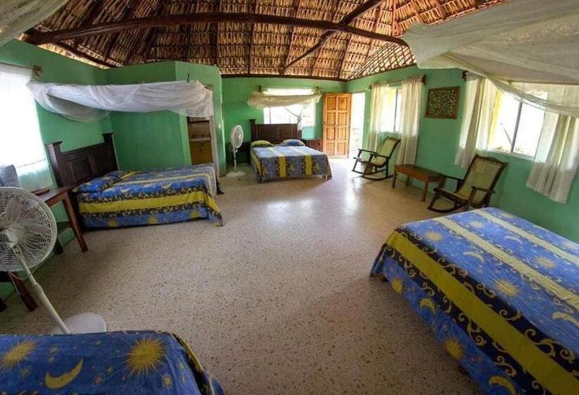 Family Room, Cafe Del Sol