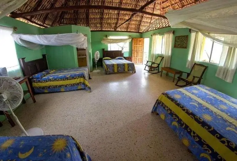 Family Room, Cafe Del Sol