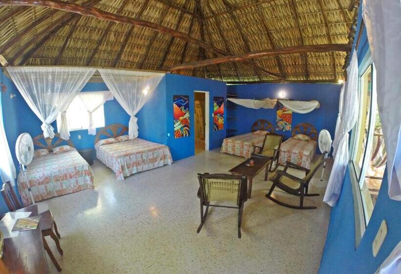 Family Room, Cafe Del Sol