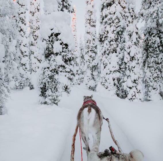 اتاق استاندارد با چشم‌انداز, Magical Pond Nature Igloos