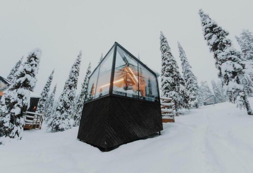 带景观的三人标准房间, Magical Pond Nature Igloos