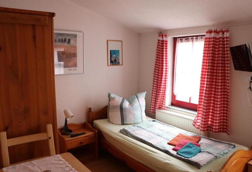 Standard Single Room, Gasthaus Zur Weintraube