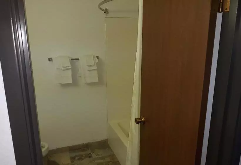 اتاق لوکس, Guest Lodge
