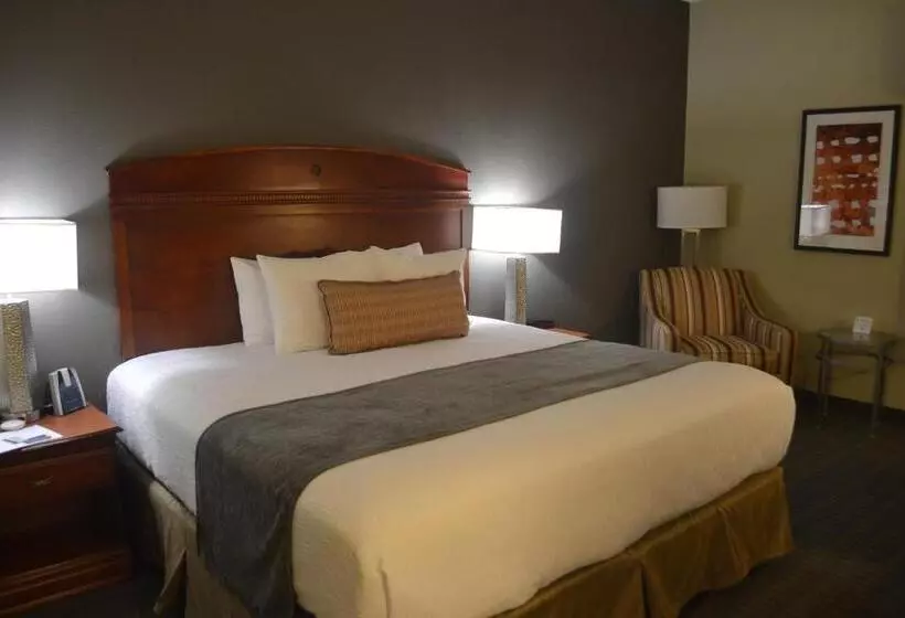 キングサイズベッドのスタンダードルーム, Best Western Delta Inn