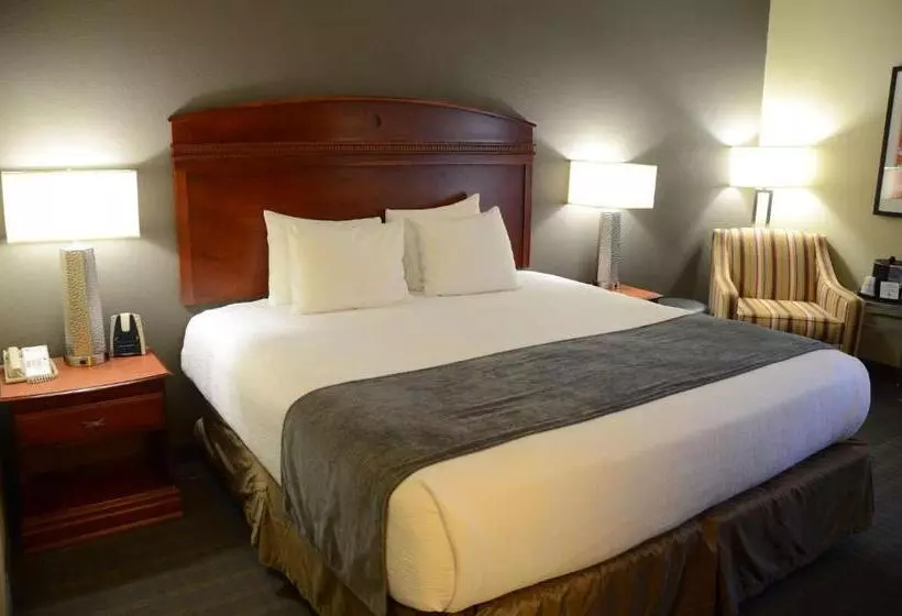 キングサイズベッドのスタンダードルーム, Best Western Delta Inn