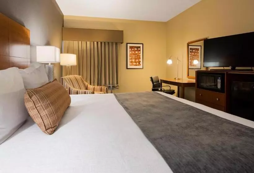 キングサイズベッドのスタンダードルーム, Best Western Delta Inn