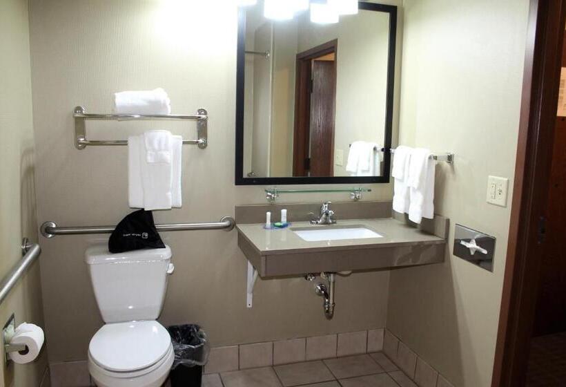 غرفة قياسية لذوى الاحتياجات الخاصة, Best Western Delta Inn