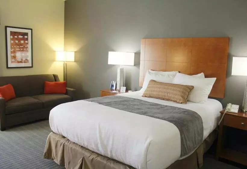 身障者適用スタンダードルーム, Best Western Delta Inn