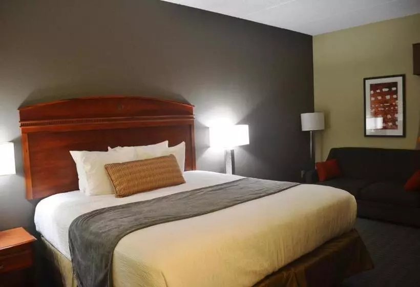 身障者適用スタンダードルーム, Best Western Delta Inn