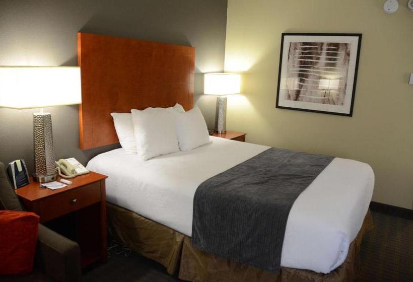 غرفة قياسية لذوى الاحتياجات الخاصة, Best Western Delta Inn