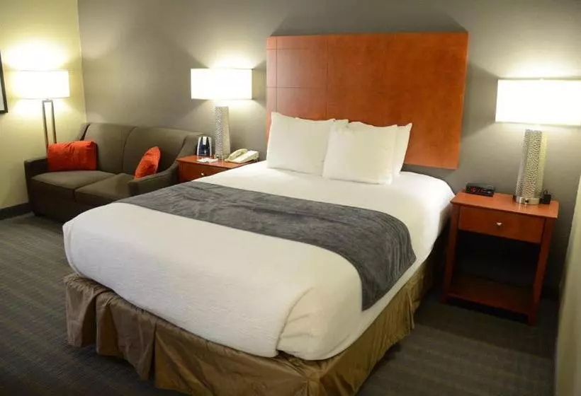 身障者適用スタンダードルーム, Best Western Delta Inn