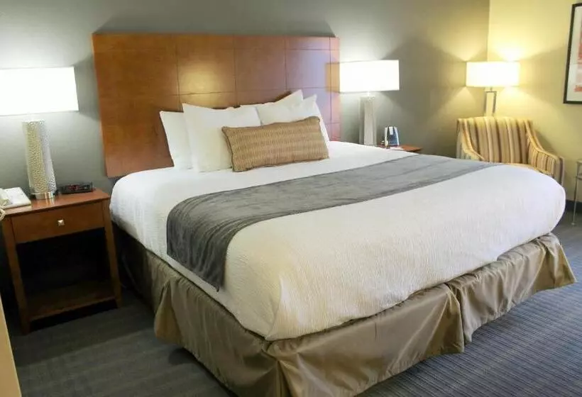 身障者適用キングサイズベッドルーム, Best Western Delta Inn
