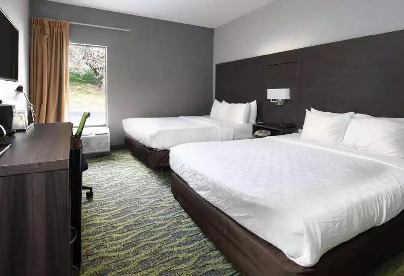 اتاق استاندارد, Clarion Inn Near Lookout Mountain