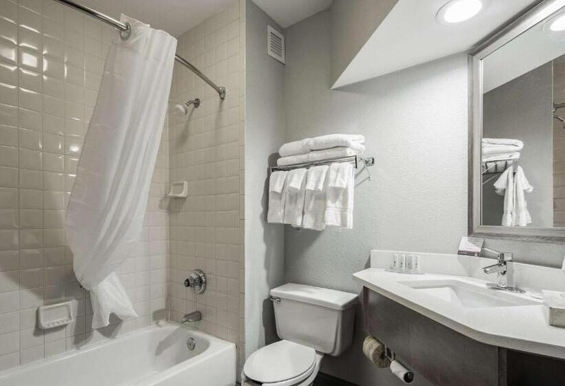 اتاق استاندارد, Clarion Inn Near Lookout Mountain