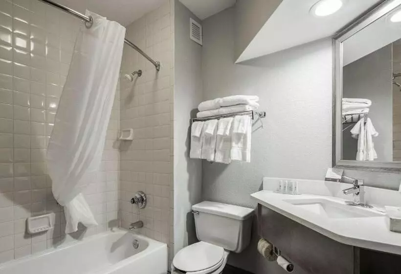 اتاق استاندارد, Clarion Inn Near Lookout Mountain