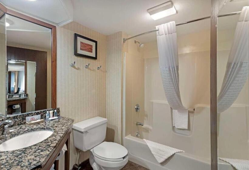 סטודיו סטנדרט, מיטה זוגית, Comfort Inn