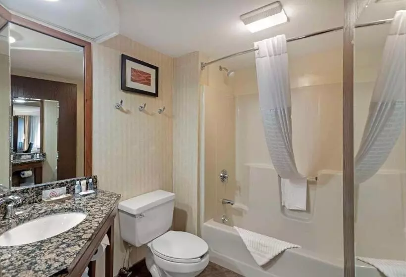 استودیو استاندارد با تخت کینگ, Comfort Inn