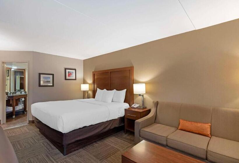 סטודיו סטנדרט, מיטה זוגית, Comfort Inn