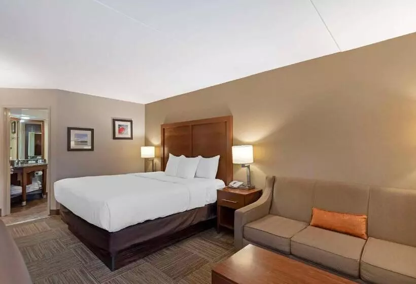 استودیو استاندارد با تخت کینگ, Comfort Inn