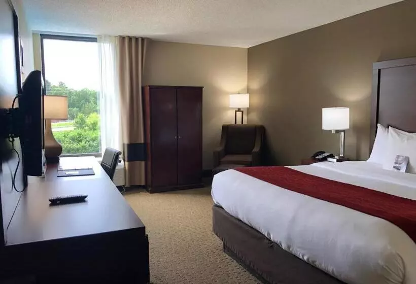 キングサイズベッドのスタンダードルーム, Comfort Inn & Suites Durham Near Duke University