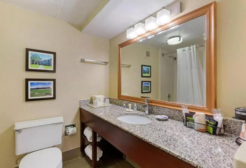 キングサイズベッドのスタンダードルーム, Comfort Inn & Suites Durham Near Duke University