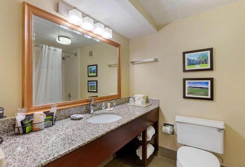 חדר סטנדרט עם מיטת קינג, Comfort Inn & Suites Durham Near Duke University