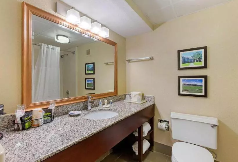 キングサイズベッドのスタンダードルーム, Comfort Inn & Suites Durham Near Duke University