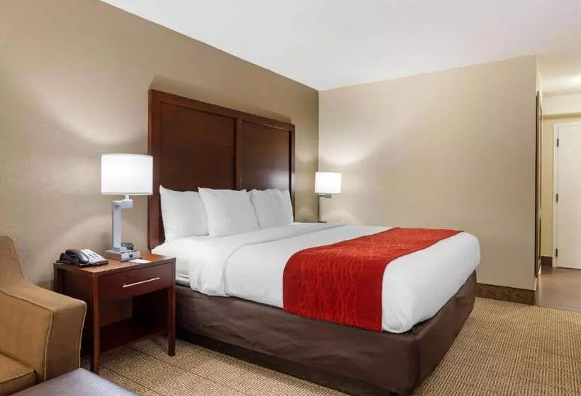 キングサイズベッドのスタンダードルーム, Comfort Inn & Suites Durham Near Duke University