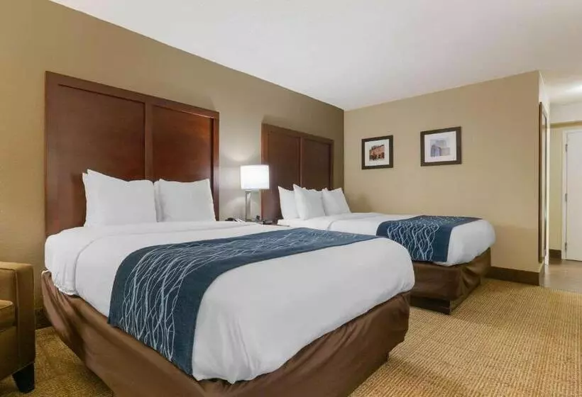スタンダードルーム, Comfort Inn & Suites Durham Near Duke University