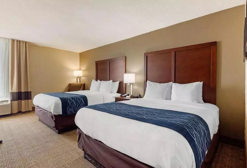 スタンダードルーム, Comfort Inn & Suites Durham Near Duke University