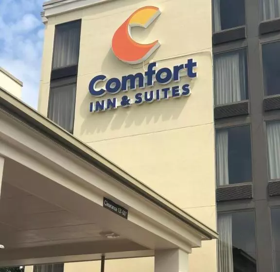 身障者適用キングサイズベッドルーム, Comfort Inn & Suites Durham Near Duke University