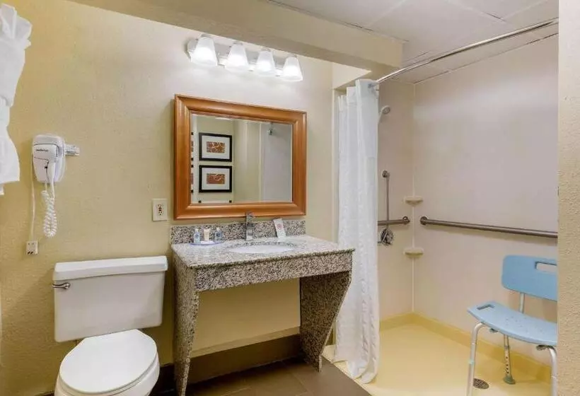 身障者適用キングサイズベッドルーム, Comfort Inn & Suites Durham Near Duke University