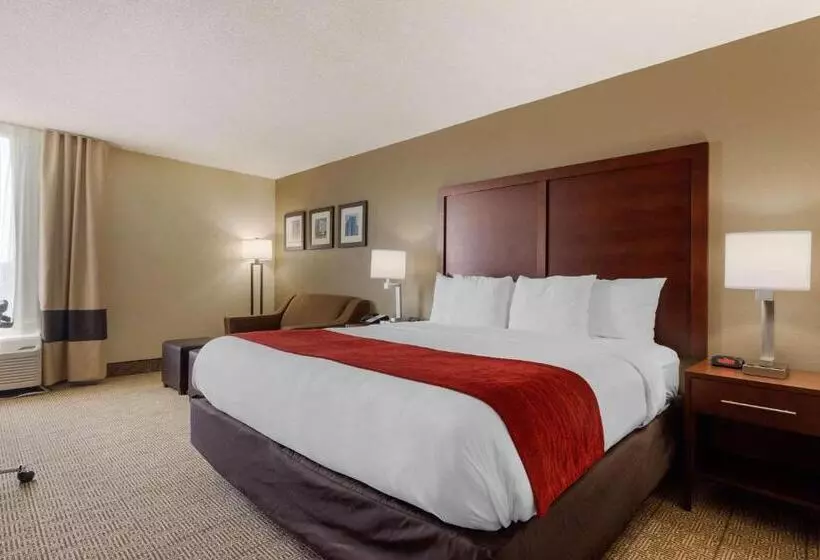 身障者適用キングサイズベッドルーム, Comfort Inn & Suites Durham Near Duke University