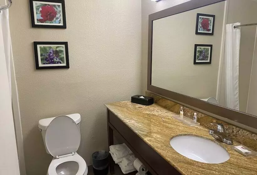 اتاق استاندارد با 2 تخت دوبل, Comfort Inn & Suites Temple   Medical Center