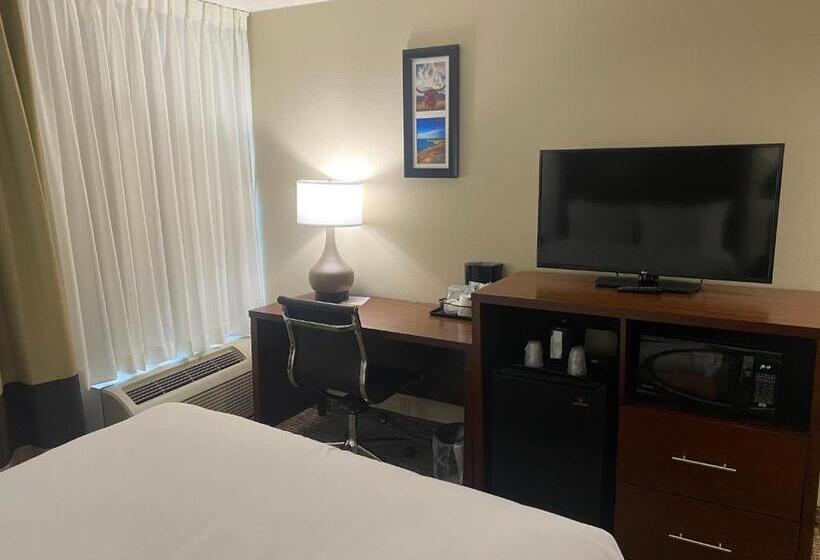 غرفة قياسية سرير كينج, Comfort Inn & Suites Temple   Medical Center