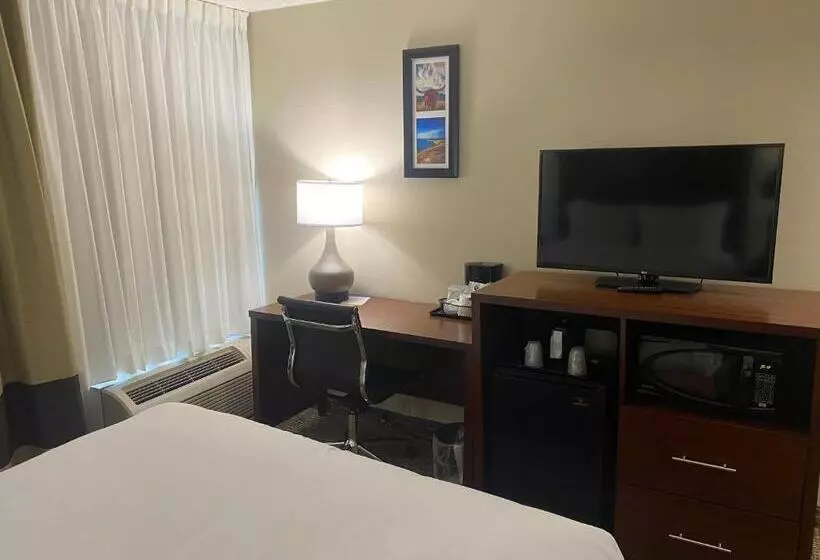 اتاق استاندارد با تخت بزرگ, Comfort Inn & Suites Temple   Medical Center
