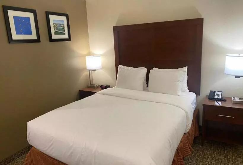 اتاق استاندارد با تخت بزرگ, Comfort Inn & Suites Temple   Medical Center