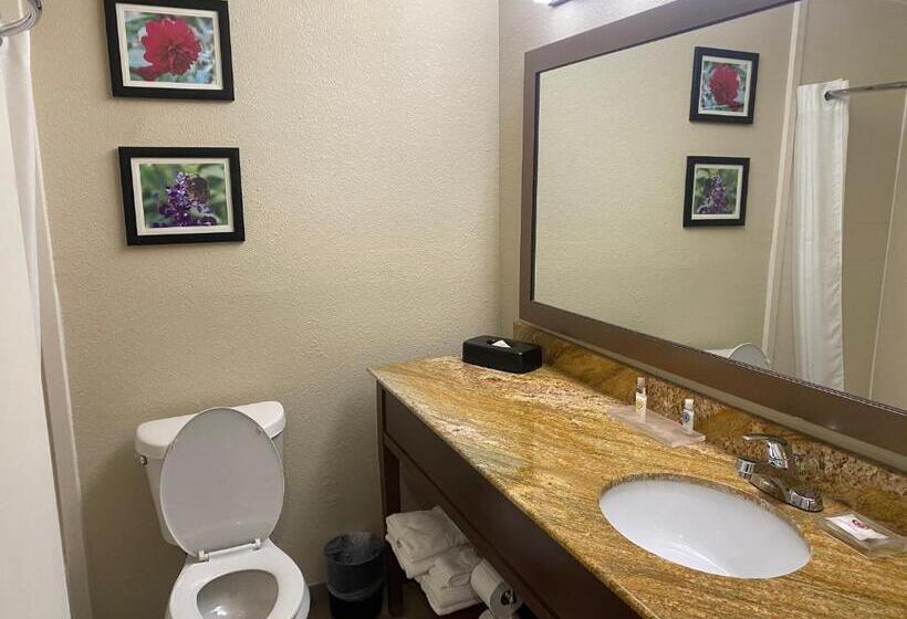 스위트 킹사이즈 침대, Comfort Inn & Suites Temple   Medical Center
