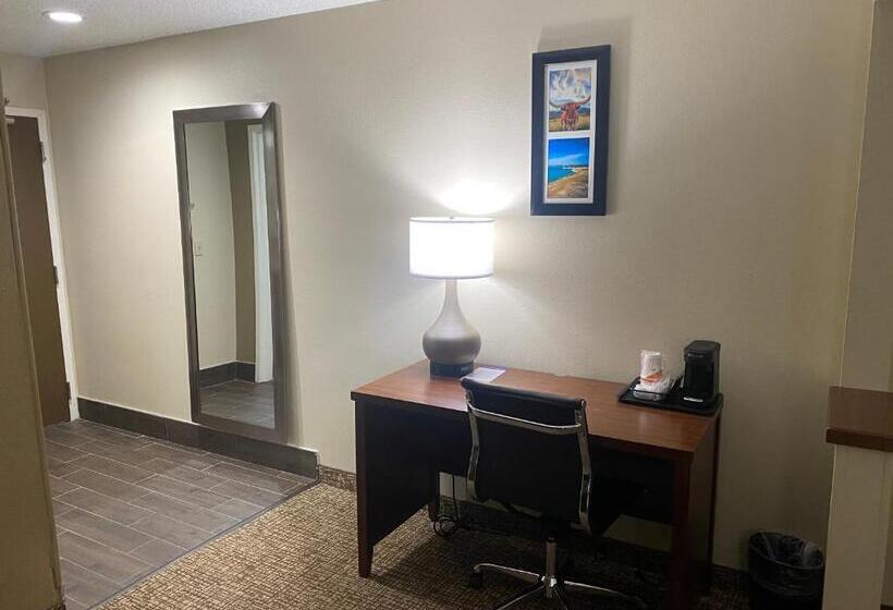 جناح سرير كينج, Comfort Inn & Suites Temple   Medical Center