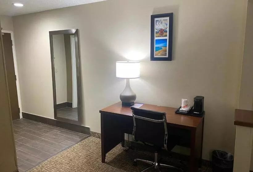 سوئیت با تخت بزرگ, Comfort Inn & Suites Temple   Medical Center